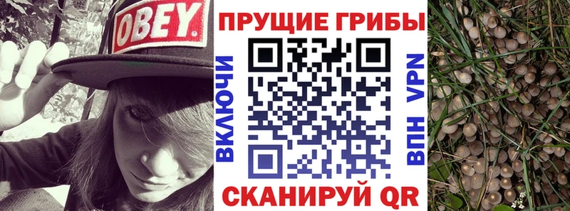 купить наркоту  Ипатово  Галлюциногенные грибы Magic Shrooms 